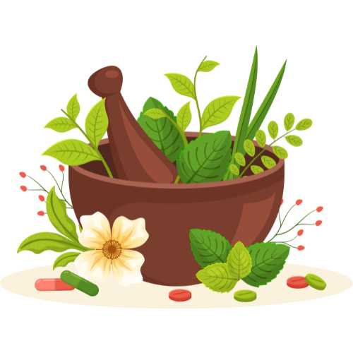 Nguồn gốc hữu cơ