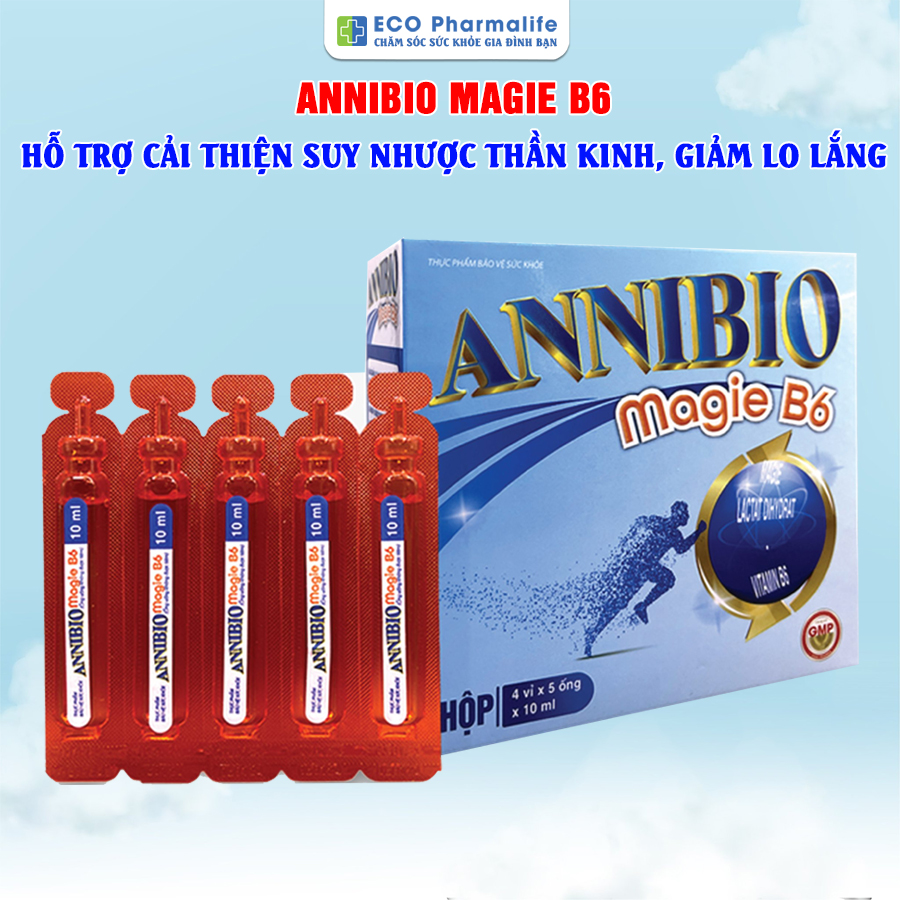 annibio magie b6